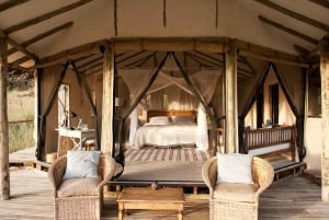 Da Arusha: safari nel Serengeti, Tarangire e Ngorongoro