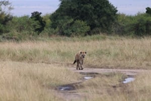 Z Aruszy: wizyta w Tarangire, Serengeti i nad jeziorem Manyara