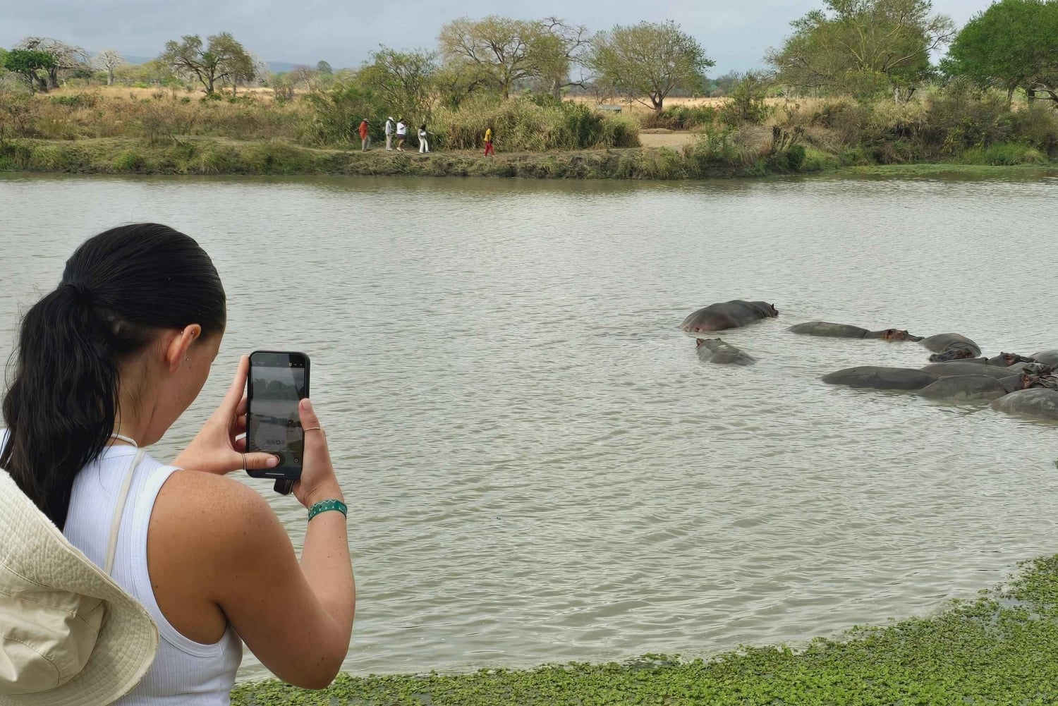 A partir de Dar es Salaam: Safári de 3 dias ao Parque Mikumi com Maasai