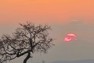 Depuis Dar es Salaam : safari de 3 jours au parc Mikumi avec les Masaï