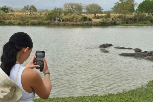 Depuis Dar es Salaam : safari de 3 jours au parc Mikumi avec les Masaï