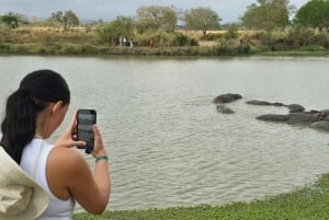 A partir de Dar es Salaam: Safári de 3 dias ao Parque Mikumi com Maasai