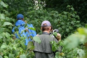 Dar es Salaamista: 5 päivän Gombe National Park -kiertue