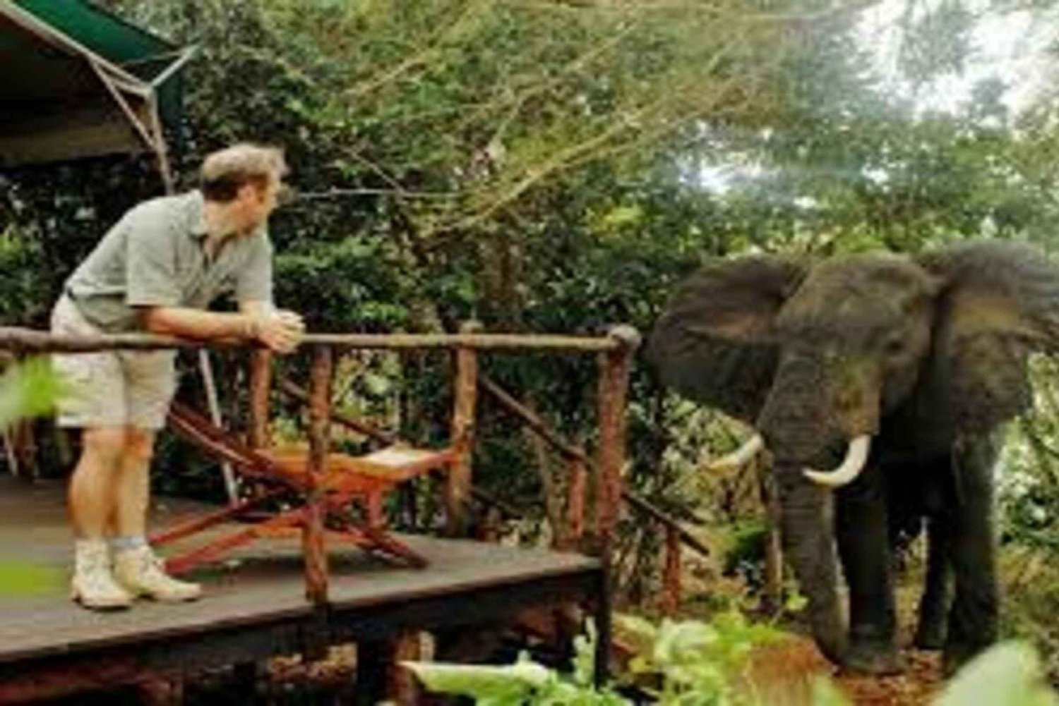 Fra Dar Es Salaam: Mikumi National Park 2 nætter og 3 dage