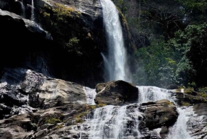 Fra Dar es Salaam: Dagstur til Mikumi Nationalpark