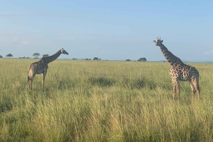Fra Dar Es Salaam: Mikumi Nationalpark Wildlife Safari