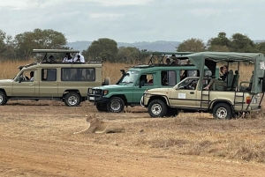 Fra Dar Es Salaam: Mikumi Nationalpark Wildlife Safari