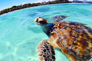 Von Dar es Salaam & Sansibar: Private Katamaran-Kreuzfahrt