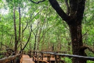 From Jungle to Stone Town: Zanzibar Nature & Heritage Escape