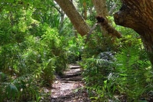 From Jungle to Stone Town: Zanzibar Nature & Heritage Escape