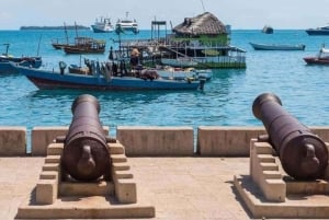 From Jungle to Stone Town: Zanzibar Nature & Heritage Escape