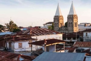 From Jungle to Stone Town: Zanzibar Nature & Heritage Escape