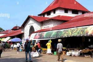 From Jungle to Stone Town: Zanzibar Nature & Heritage Escape