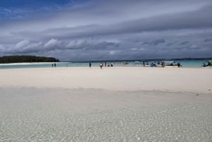 Fra Kendwa: Båttur til Mnemba og snorkeleventyr med delfiner