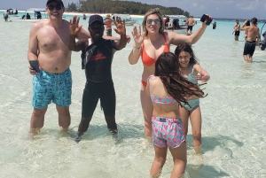 Fra Kendwa: Båttur til Mnemba og snorkeleventyr med delfiner