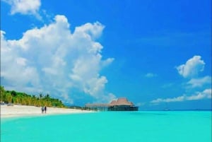 VON KENDWA; Mnemba Schnorcheltour und Delfinbeobachtung