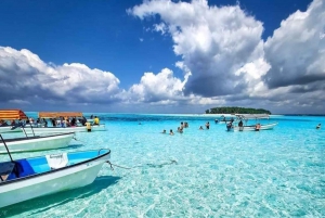 VON KENDWA; Mnemba Schnorcheltour und Delfinbeobachtung