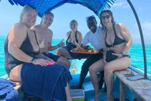 VON KENDWA; Mnemba Schnorcheltour und Delfinbeobachtung