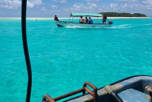 VON KENDWA; Mnemba Schnorcheltour und Delfinbeobachtung