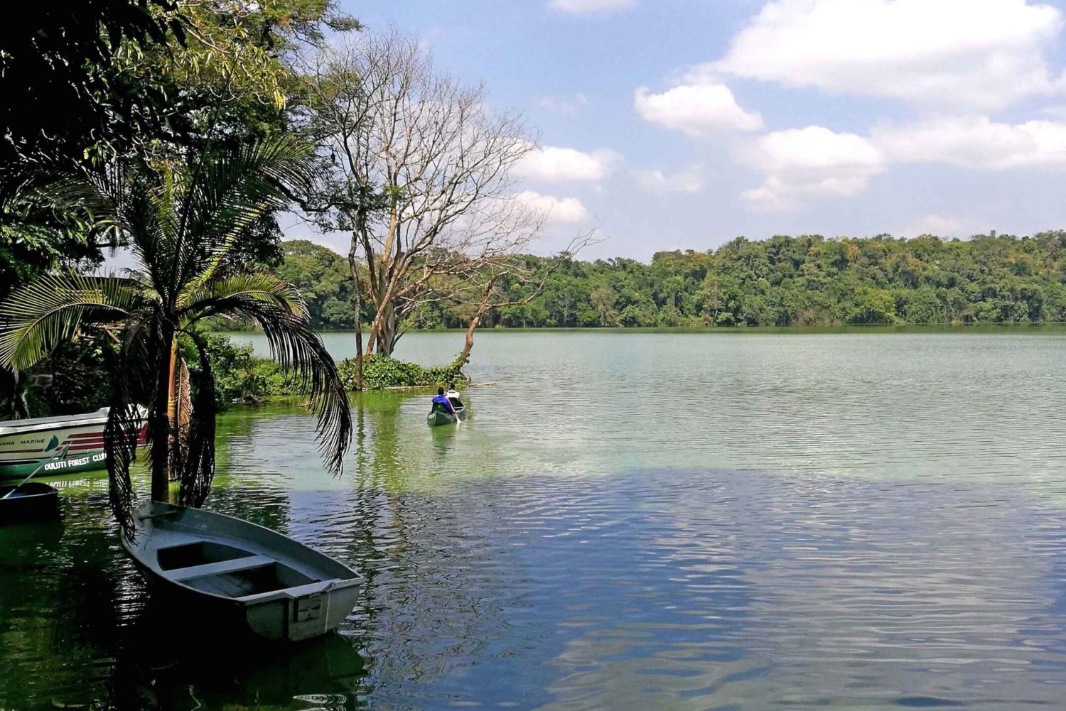 Tanzania: Best 10 Day Safari and Zanzibar Beach Experience