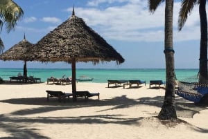 The Best 10 Days Private & Luxury Tanzania Safari - Tours