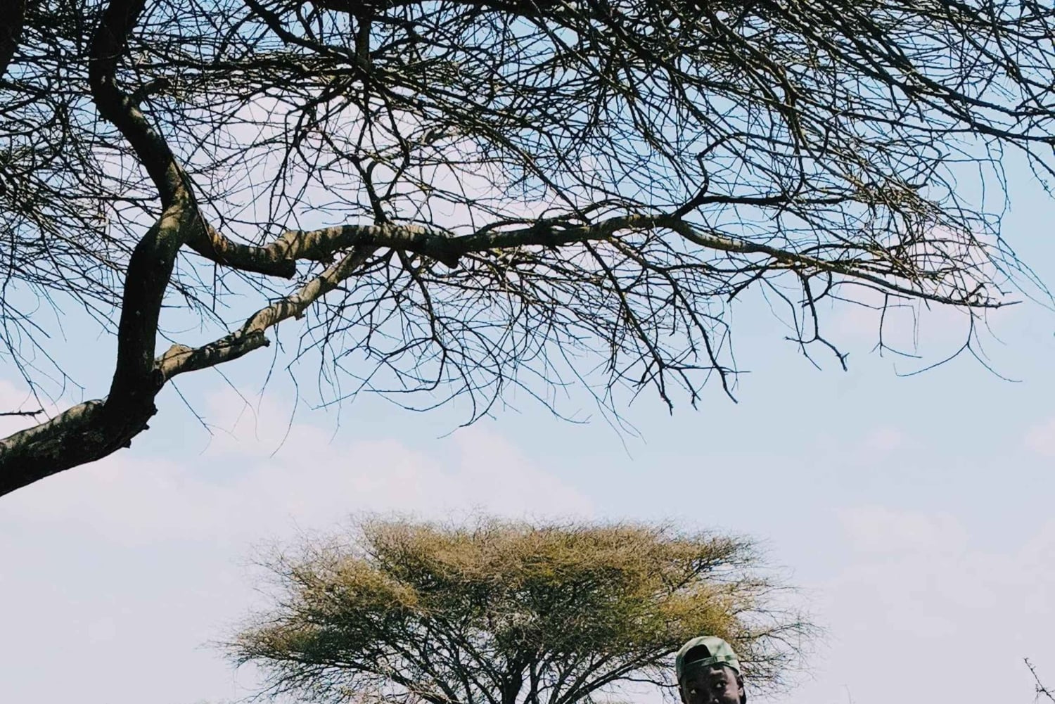 From Moshi or Arusha: Serval Wildlife Sanctuary Trip