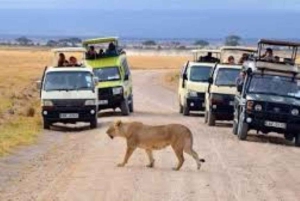 Från Nairobi: 3-dagars safari i Amboseli National Park