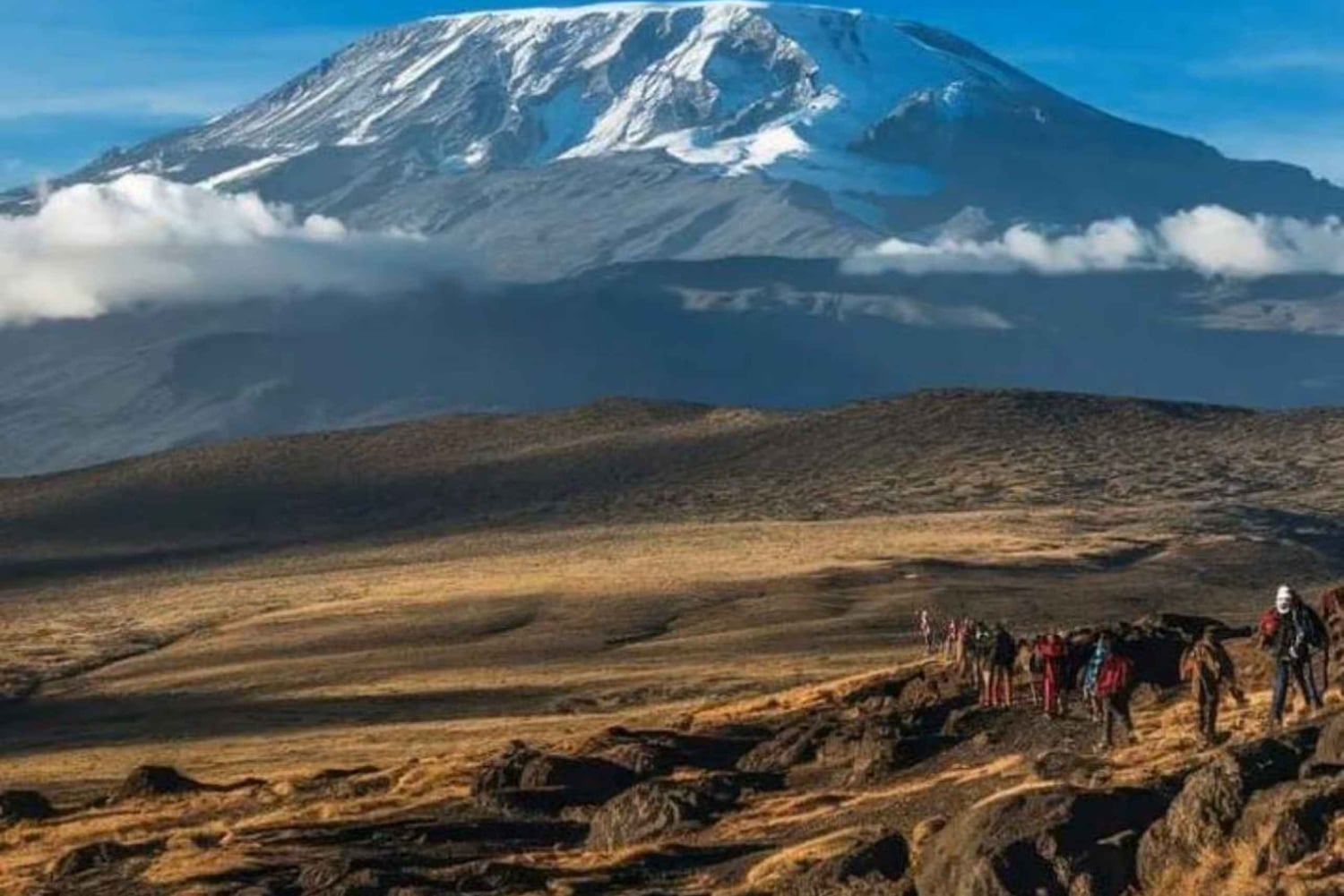 Fra Nairobi: 3 dagers Amboseli-tur