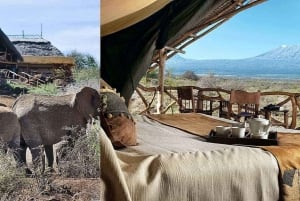 ナイロビ発：3日間のアンボセリツアー