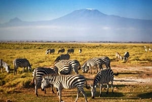 ナイロビ発：3日間のアンボセリツアー