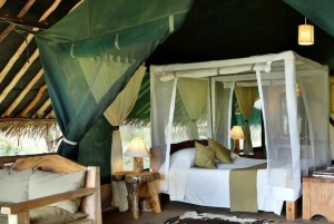 Fra Nairobi: 3 dagers Amboseli-tur