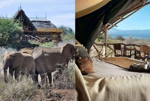 Fra Nairobi: 3 dagers Amboseli-tur