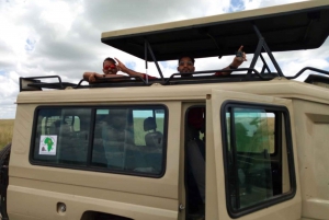 Z Nairobi: Park Narodowy Amboseli 2-dniowa, 1-nocna wycieczka
