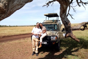 Depuis Nairobi : excursion de 2 jours et 1 nuit au parc national d'Amboseli