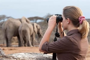 Z Nairobi lub Mombasy: 3-dniowa wycieczka do Parku Narodowego Amboseli