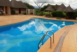 Z Nairobi lub Mombasy: 3-dniowa wycieczka do Parku Narodowego Amboseli