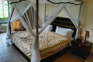 Z Nairobi lub Mombasy: 3-dniowa wycieczka do Parku Narodowego Amboseli