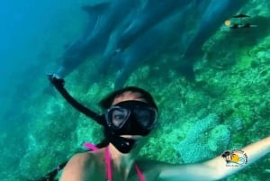 Au départ de Nungwi/Kendwa : excursion « Étoiles de mer et dauphins de l'atoll de Mnemba ».