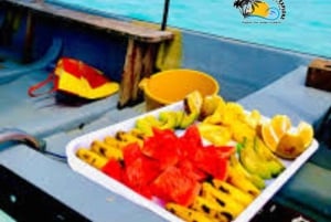 Au départ de Nungwi/Kendwa : excursion « Étoiles de mer et dauphins de l'atoll de Mnemba ».