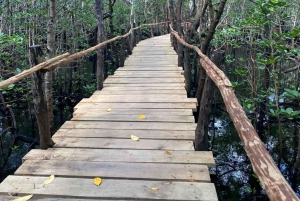 AU DÉPART DE NUNGWI/KENDWA : FORÊT DE JOZANI, ÎLE DE LA PRISON ET VILLE DE PIERRE