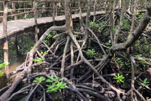 AU DÉPART DE NUNGWI/KENDWA : FORÊT DE JOZANI, ÎLE DE LA PRISON ET VILLE DE PIERRE
