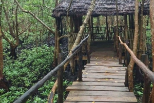 AU DÉPART DE NUNGWI/KENDWA : FORÊT DE JOZANI, ÎLE DE LA PRISON ET VILLE DE PIERRE