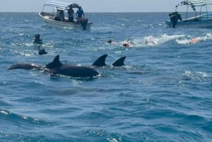 VANUIT NUNGWI; SNORKELEN EN DOLFIJNENTOUR OP MNEMBA