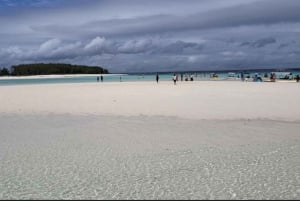 VANUIT NUNGWI; SNORKELEN EN DOLFIJNENTOUR OP MNEMBA