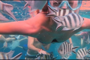 FROM NUNGWI; MNEMBA SNORKELING AND DOLPHIN TOUR