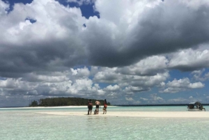 FROM NUNGWI; MNEMBA SNORKELING AND DOLPHIN TOUR