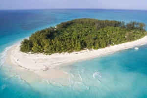 FROM NUNGWI; MNEMBA SNORKELING AND DOLPHIN TOUR