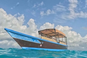 FROM NUNGWI; MNEMBA SNORKELING AND DOLPHIN TOUR