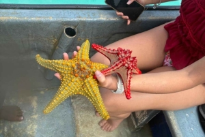 FROM NUNGWI; MNEMBA SNORKELING AND DOLPHIN TOUR