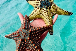 FROM NUNGWI; MNEMBA SNORKELING AND DOLPHIN TOUR